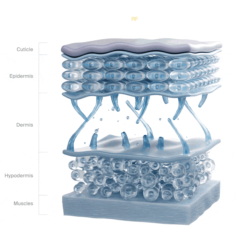 Anti-âge cellulaire GEMO